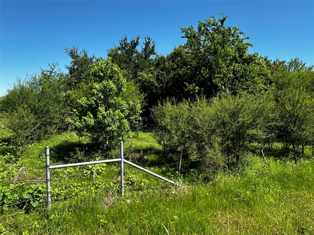 Scott Street Kyle, TX 78640