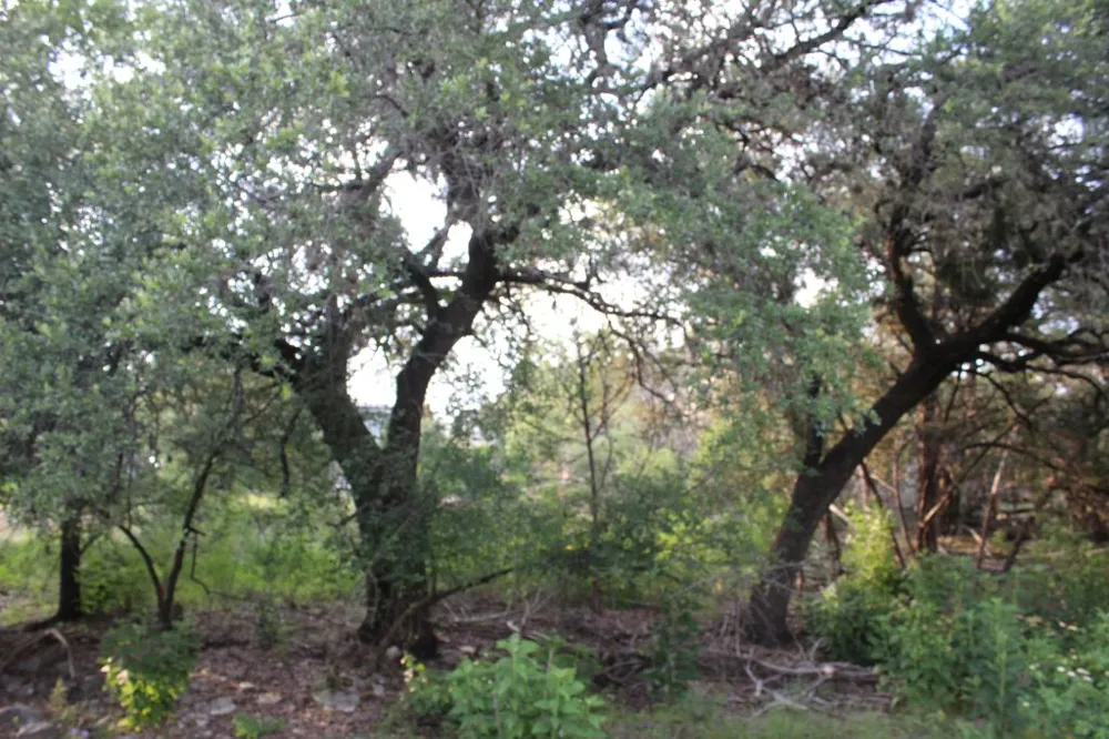 738 Deckhouse Drive Point Venture, TX 78645