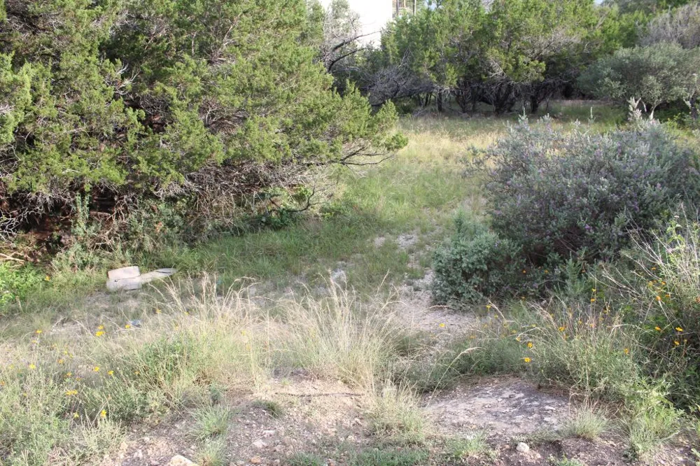 738 Deckhouse Drive Point Venture, TX 78645