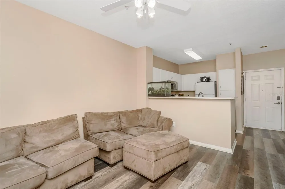1810 E PALM AVENUE #5217 Tampa, FL 33605