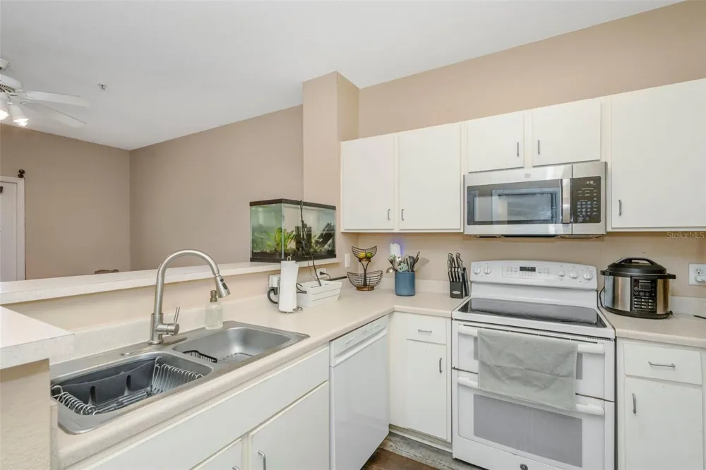 1810 E PALM AVENUE #5217 Tampa, FL 33605