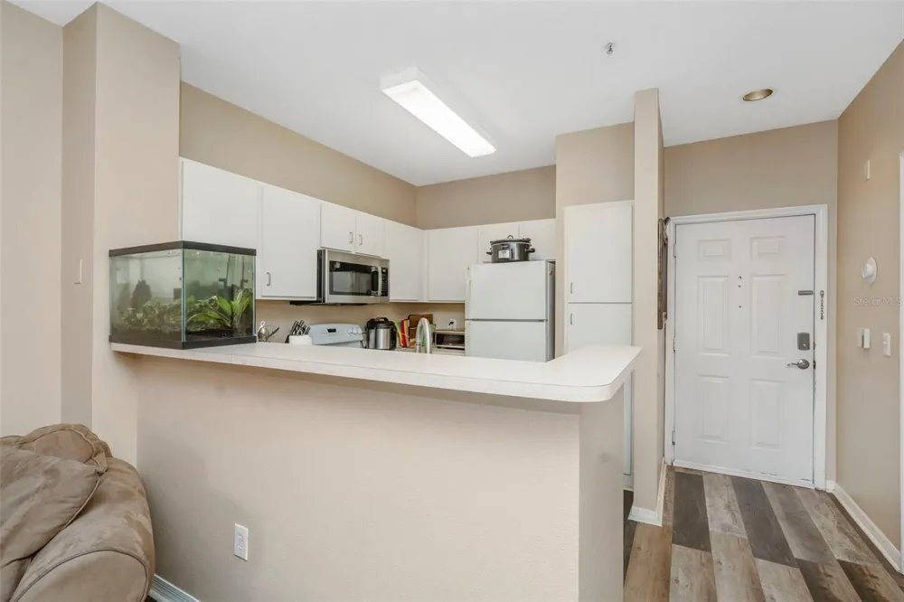 1810 E PALM AVENUE #5217 Tampa, FL 33605