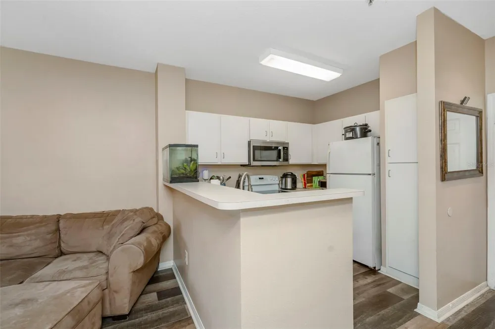 1810 E PALM AVENUE #5217 Tampa, FL 33605