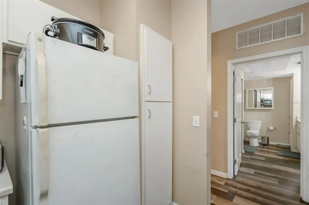 1810 E PALM AVENUE #5217 Tampa, FL 33605