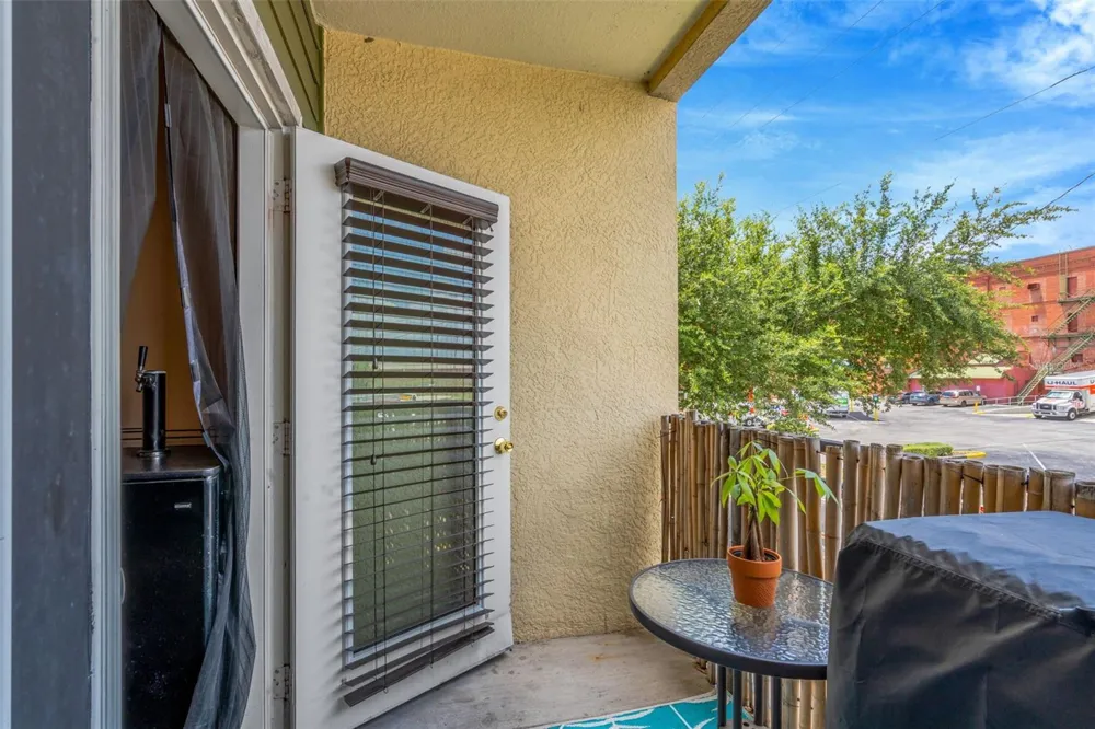 1810 E PALM AVENUE #5217 Tampa, FL 33605
