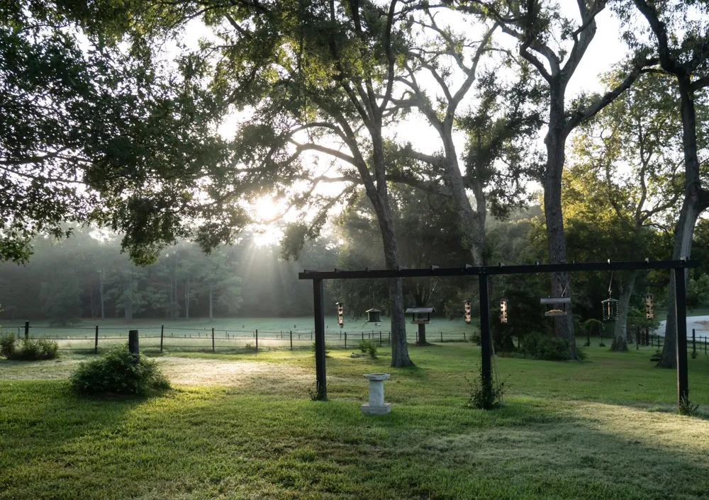13547 Shepard Hill Road Willis, TX 77318