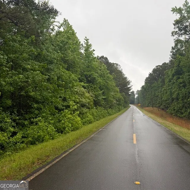 145 +/- ACRES George Smith RD Talbotton, GA 31827