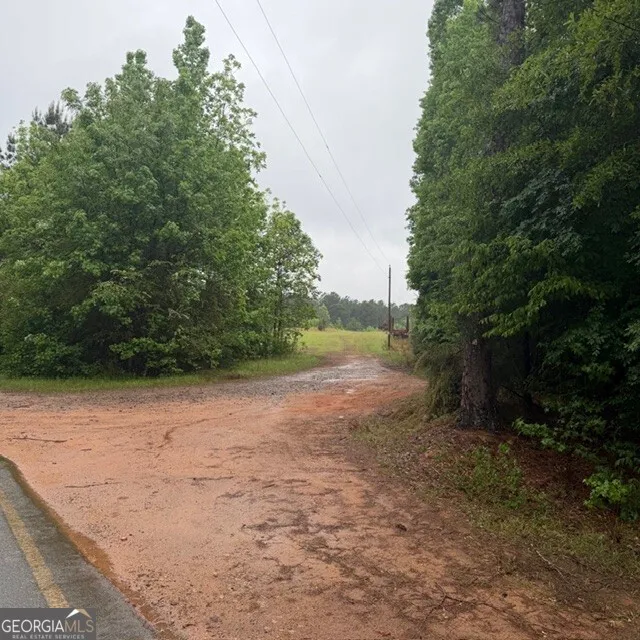145 +/- ACRES George Smith RD Talbotton, GA 31827