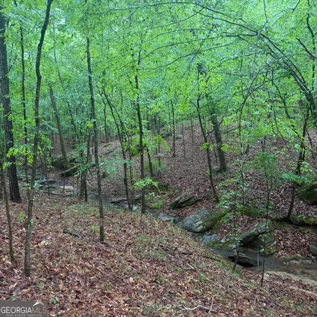 145 +/- ACRES George Smith RD Talbotton, GA 31827