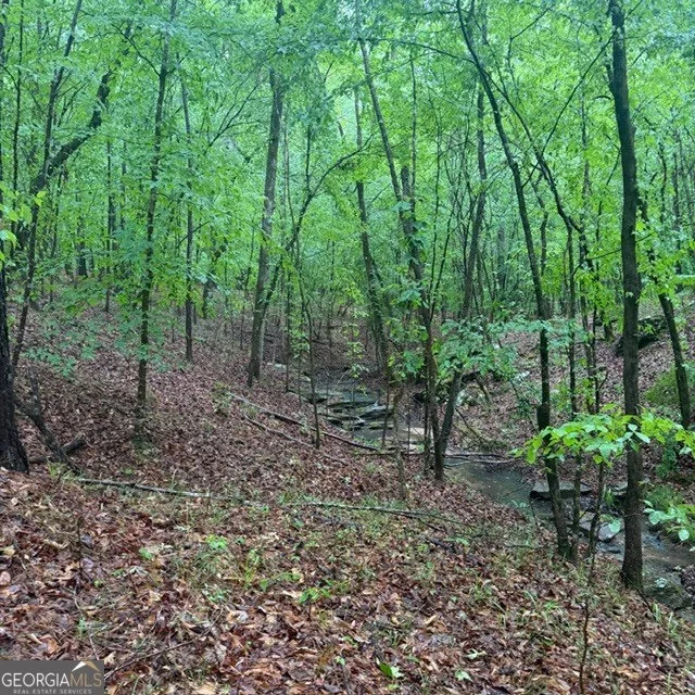 145 +/- ACRES George Smith RD Talbotton, GA 31827