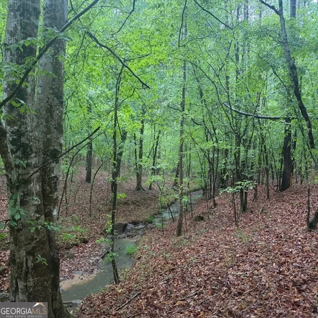 145 +/- ACRES George Smith RD Talbotton, GA 31827