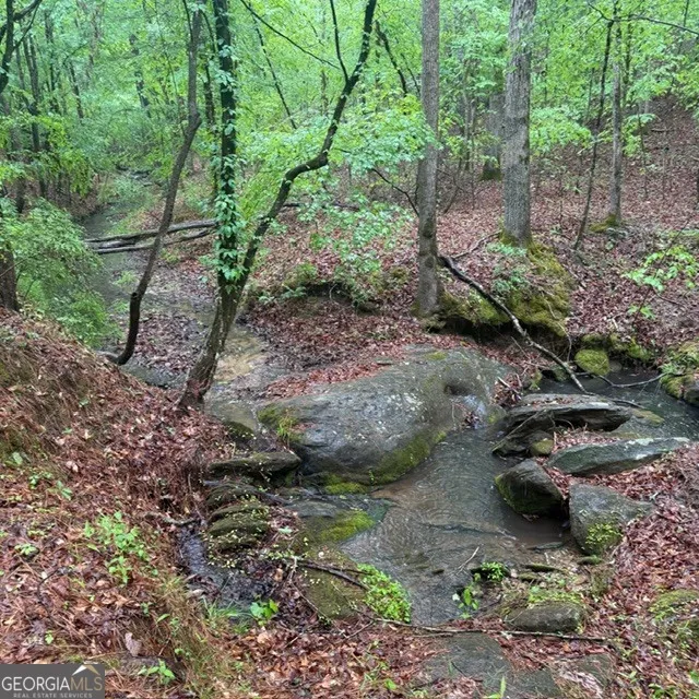 145 +/- ACRES George Smith RD Talbotton, GA 31827