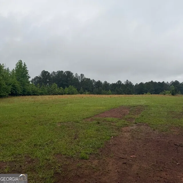 145 +/- ACRES George Smith RD Talbotton, GA 31827
