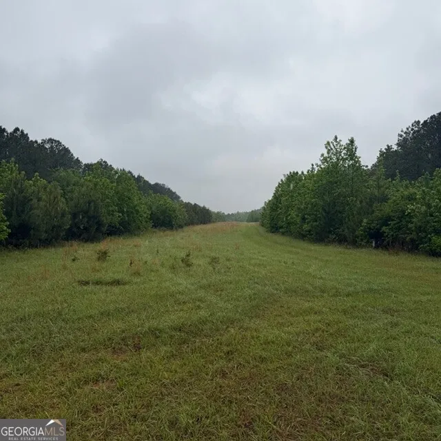 145 +/- ACRES George Smith RD Talbotton, GA 31827