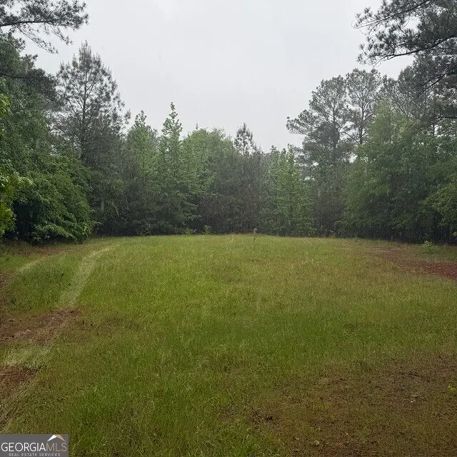 145 +/- ACRES George Smith RD Talbotton, GA 31827