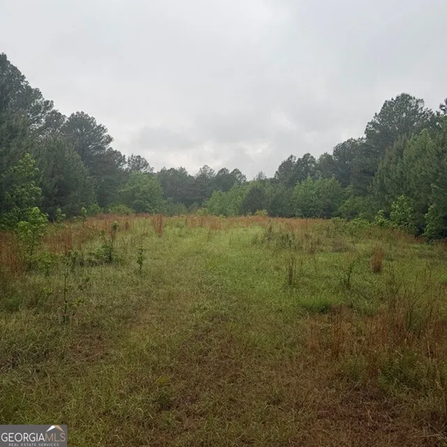 145 +/- ACRES George Smith RD Talbotton, GA 31827