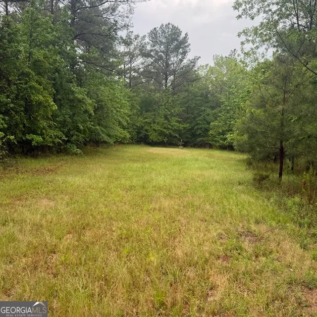 145 +/- ACRES George Smith RD Talbotton, GA 31827