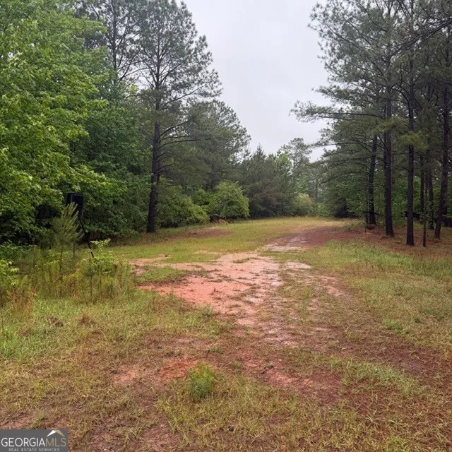 145 +/- ACRES George Smith RD Talbotton, GA 31827