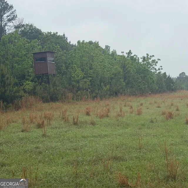 145 +/- ACRES George Smith RD Talbotton, GA 31827