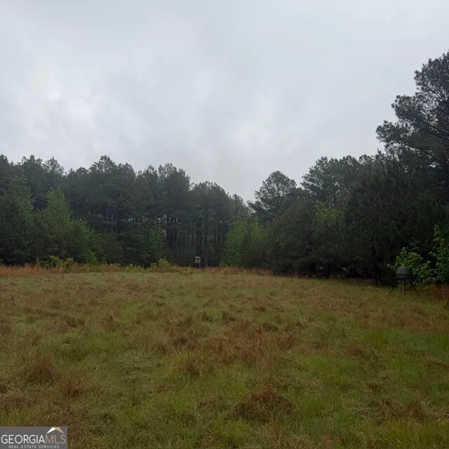 145 +/- ACRES George Smith RD Talbotton, GA 31827