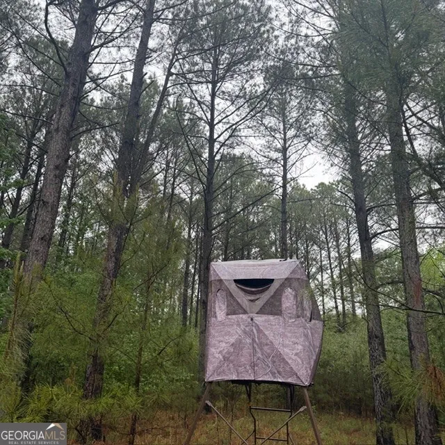 145 +/- ACRES George Smith RD Talbotton, GA 31827