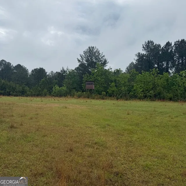145 +/- ACRES George Smith RD Talbotton, GA 31827