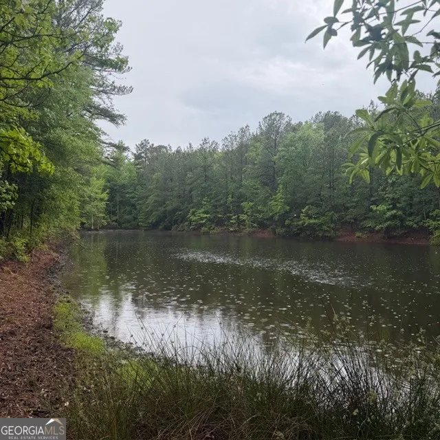145 +/- ACRES George Smith RD Talbotton, GA 31827