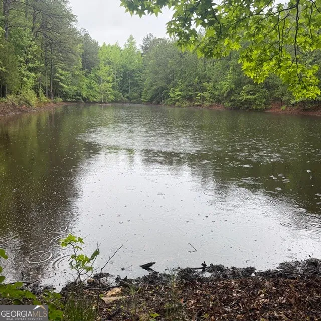 145 +/- ACRES George Smith RD Talbotton, GA 31827