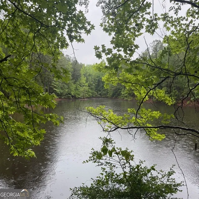 145 +/- ACRES George Smith RD Talbotton, GA 31827