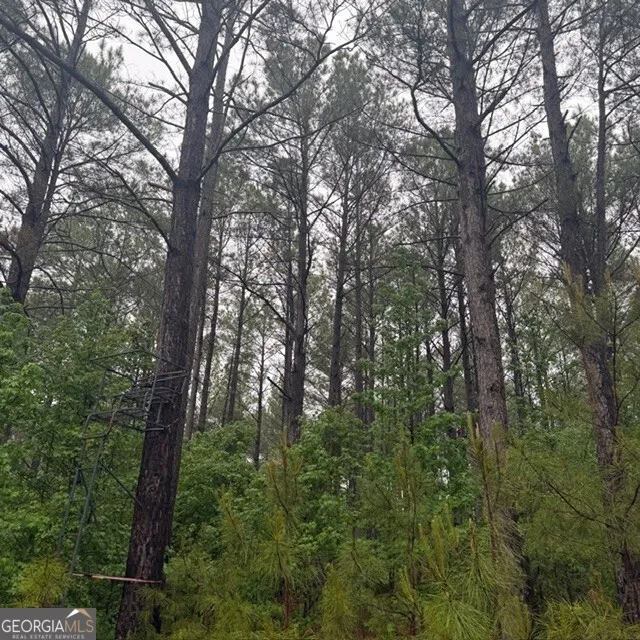 145 +/- ACRES George Smith RD Talbotton, GA 31827
