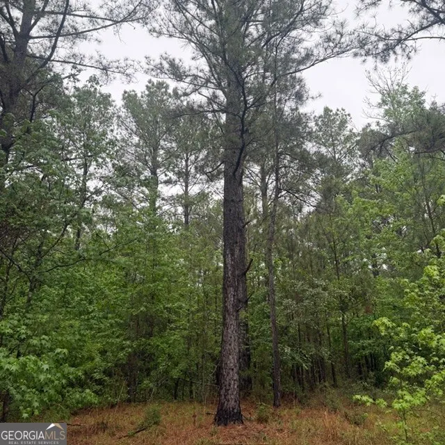145 +/- ACRES George Smith RD Talbotton, GA 31827