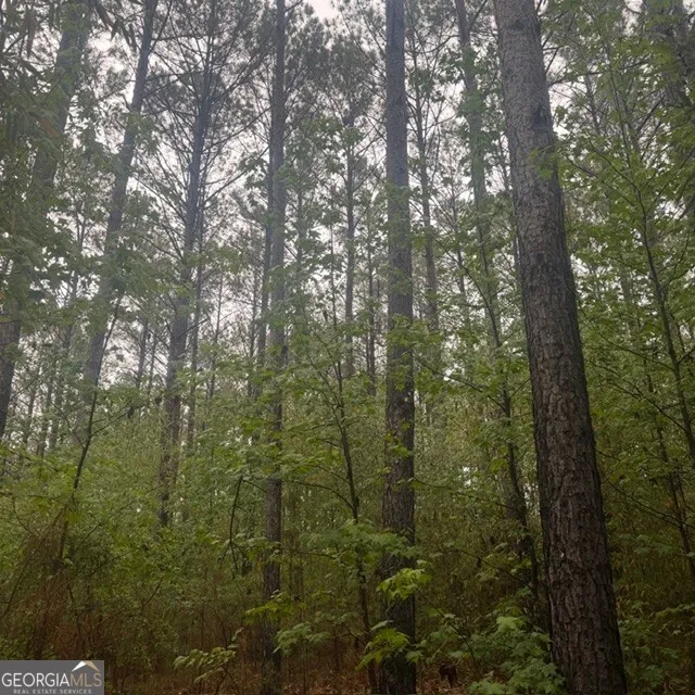 145 +/- ACRES George Smith RD Talbotton, GA 31827