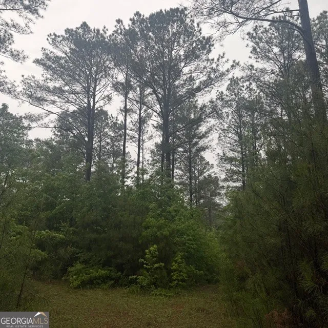 145 +/- ACRES George Smith RD Talbotton, GA 31827