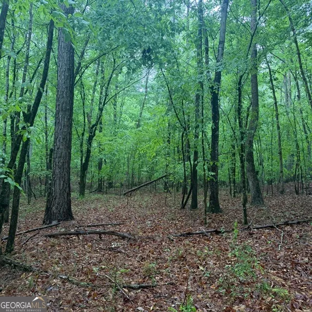 145 +/- ACRES George Smith RD Talbotton, GA 31827
