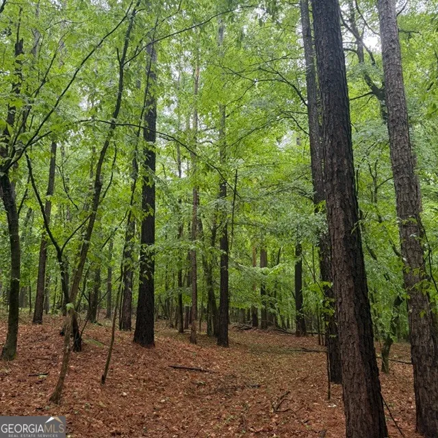 145 +/- ACRES George Smith RD Talbotton, GA 31827