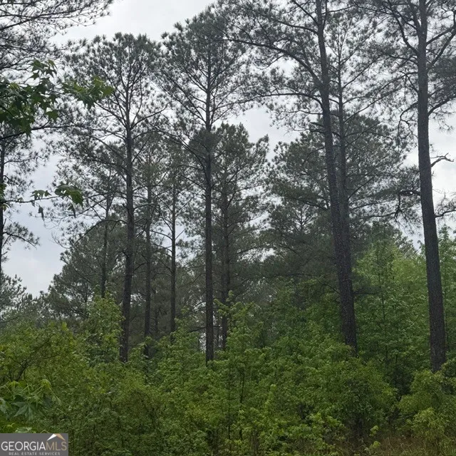 145 +/- ACRES George Smith RD Talbotton, GA 31827