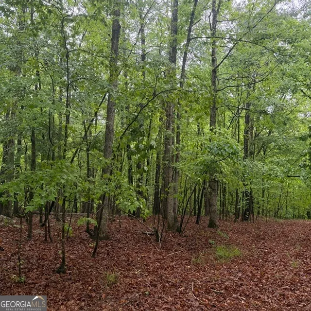 145 +/- ACRES George Smith RD Talbotton, GA 31827