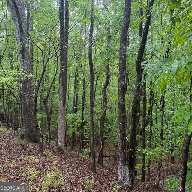 145 +/- ACRES George Smith RD Talbotton, GA 31827
