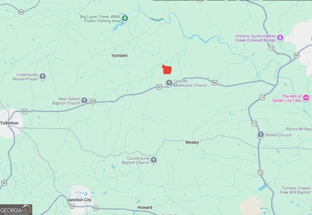 145 +/- ACRES George Smith RD Talbotton, GA 31827