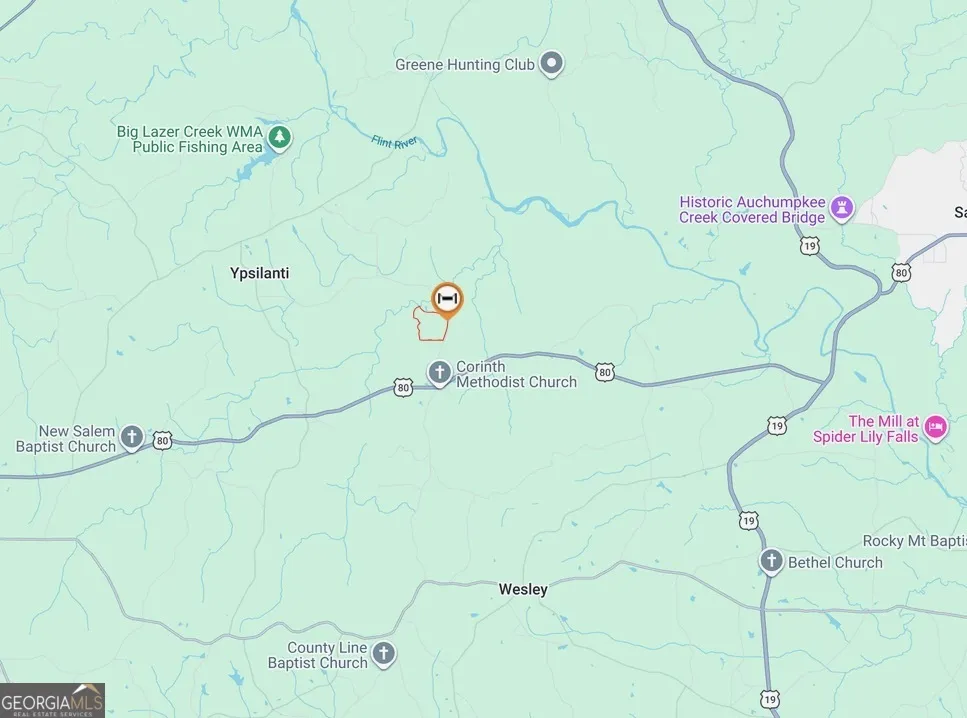 145 +/- ACRES George Smith RD Talbotton, GA 31827