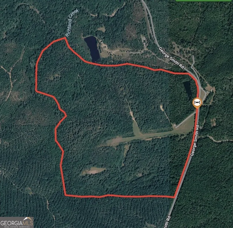 145 +/- ACRES George Smith RD Talbotton, GA 31827