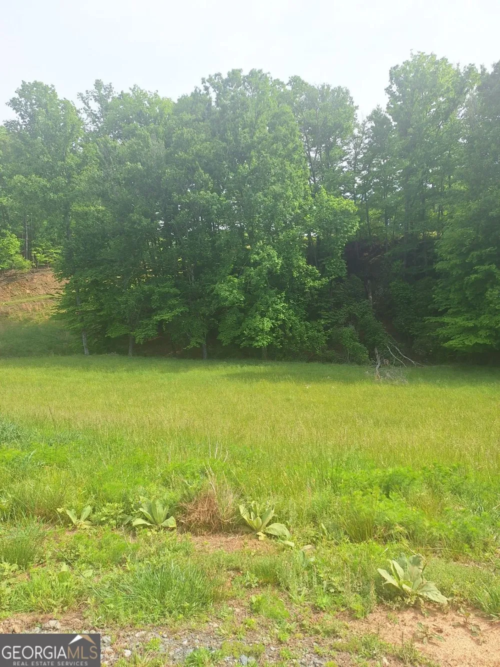 LOT 67 Hillside CT Morganton, GA 30560
