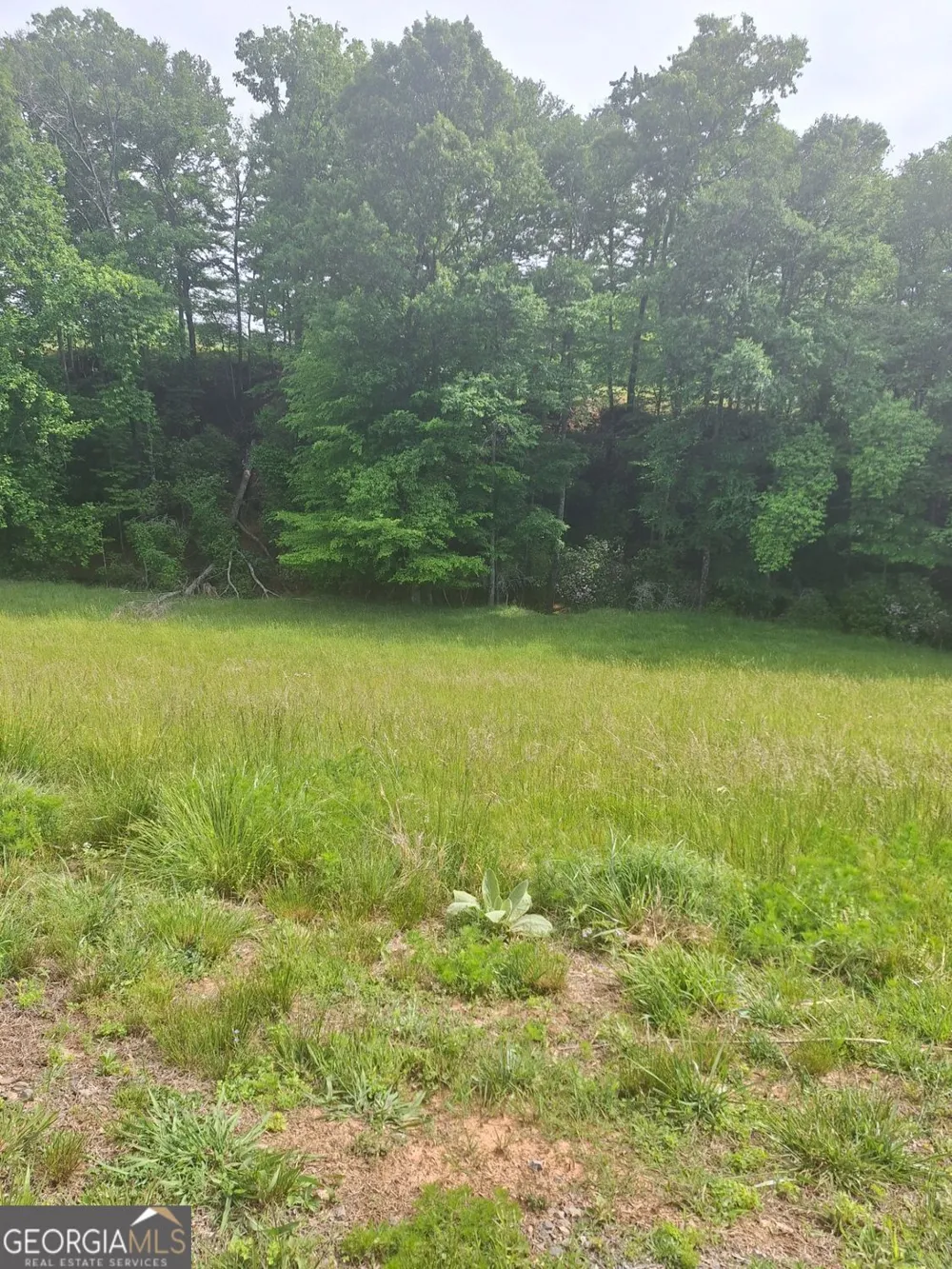 LOT 67 Hillside CT Morganton, GA 30560