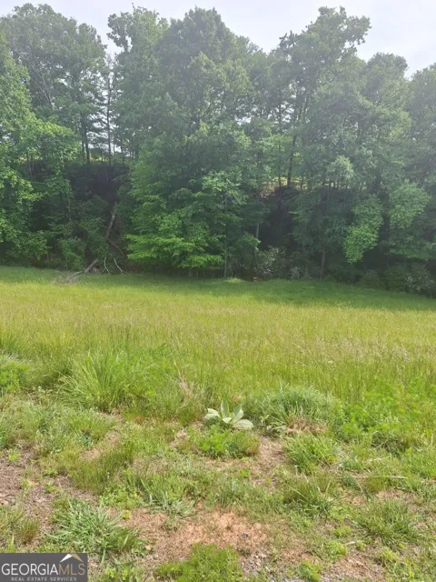 LOT 67 Hillside CT