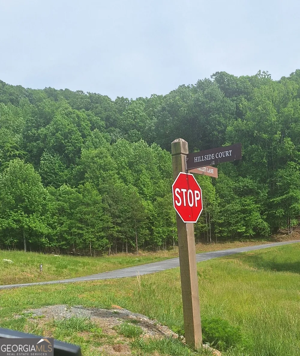 LOT 67 Hillside CT Morganton, GA 30560