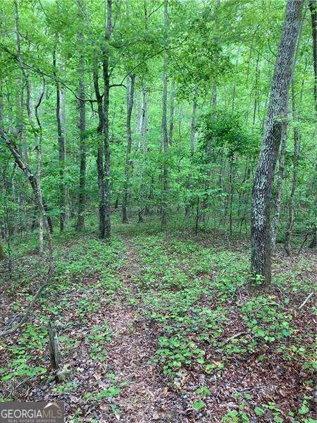 0 Crest View DR Dahlonega, GA 30533