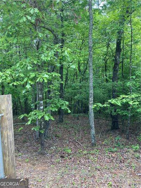 0 Crest View DR Dahlonega, GA 30533