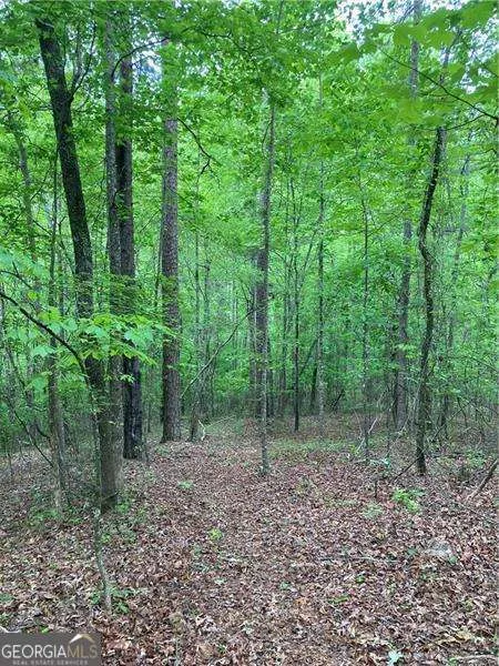 0 Crest View DR Dahlonega, GA 30533