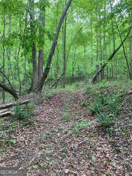 0 Crest View DR Dahlonega, GA 30533