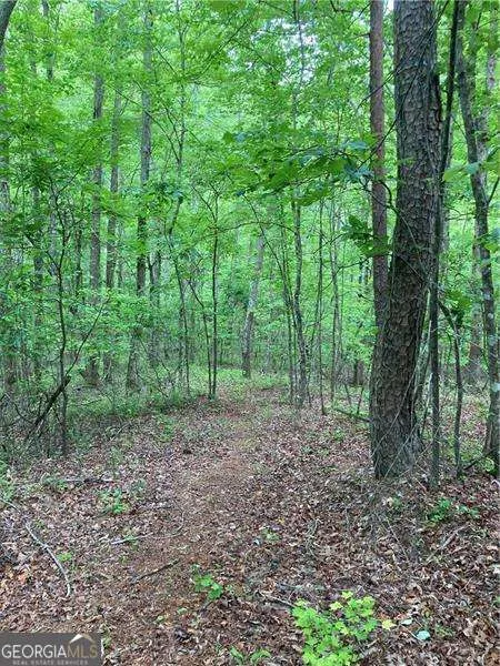 0 Crest View DR Dahlonega, GA 30533